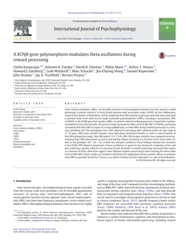 A KCNJ6 Gene Polymorphism Modulates Theta Oscillations During Reward Processing