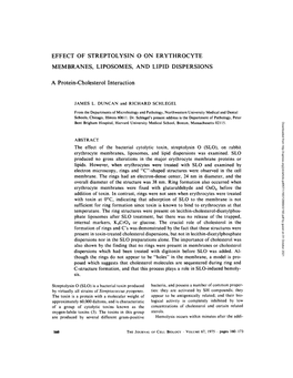 Effect of Streptolysin O on Erythrocyte Membranes, Liposomes, and Lipid Dispersions