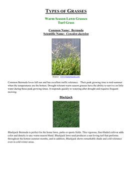 Types-Of-Grasses.Pdf