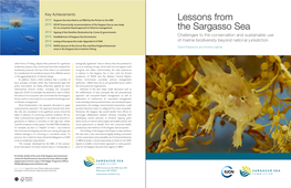 Lessons from the Sargasso Sea Sargasso Sea Commission