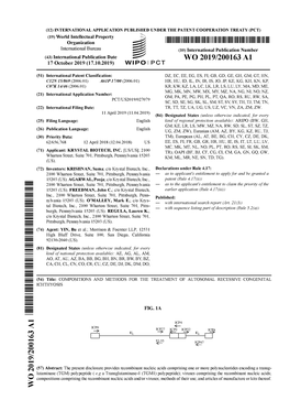 W O 2019/200163 Al 17 October 2019 (17.10.2019) W IPO I PCT