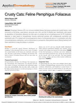 Feline Pemphigus Foliaceus