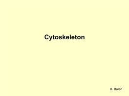 Cytoskeleton