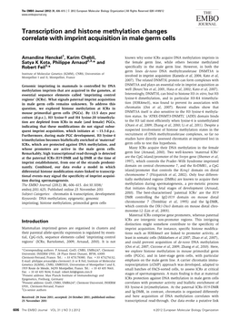 Transcription and Histone Methylation Changes Correlate with Imprint Acquisition in Male Germ Cells