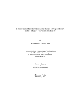 Benthic Foraminiferal Distributions in a Shallow Subtropical Estuary and the Influence of Environmental Factors