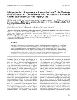 Differential Effect of Manganese on the Germination of Triglochin Striata (Juncaginaceae) and Cotula Coronopifolia (Asteraceae)