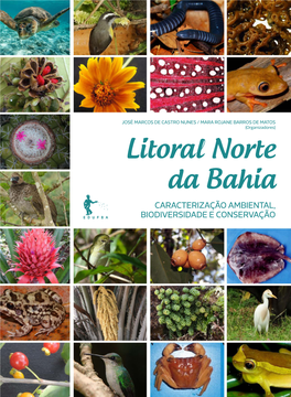 Litoral Norte Da Bahia
