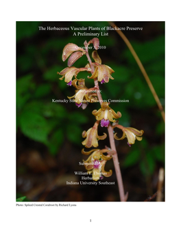The Herbaceous Vascular Plants of Blackacre Preserve a Preliminary List