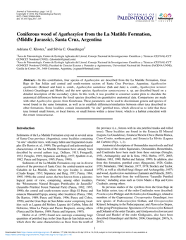 Coniferous Wood of Agathoxylon from the La Matilde Formation, (Middle Jurassic), Santa Cruz, Argentina