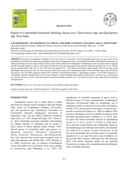 Report of a Mermithid Nematode Infecting Amyna Axis, Chrysodeixisspp. and Spodoptera Spp. from India