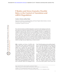 Possible Roles in the Control of Translation and Mrna Degradation