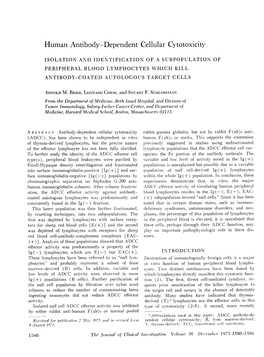 Human Antibody-Dependent Cellular Cytotoxicity