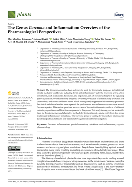 The Genus Curcuma and Inflammation