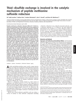 Thiol–Disulfide Exchange Is Involved in the Catalytic Mechanism of Peptide Methionine Sulfoxide Reductase