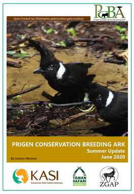 PRIGEN CONSERVATION BREEDING ARK Summer Update June 2020