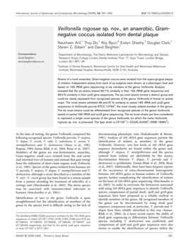 Veillonella Rogosae Sp. Nov., an Anaerobic, Gram- Negative Coccus Isolated from Dental Plaque