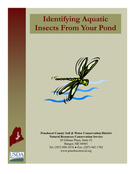 Identifying Aquatic Insects from Your Pond