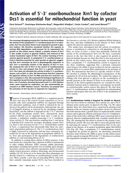 Exoribonuclease Xrn1 by Cofactor Dcs1 Is Essential for Mitochondrial Function in Yeast