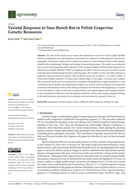 Varietal Response to Sour Bunch Rot in Polish Grapevine Genetic Resources