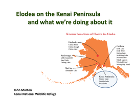 Elodea on the Kenai Peninsula and What We're Doing About It
