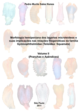 Vol II Pnunes.Pdf