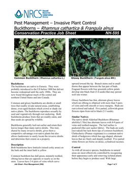 Invasive Plant Control Buckthorns – Rhamnus Cathartica & Frangula Alnus