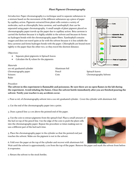 Plant Pigment Chromatography