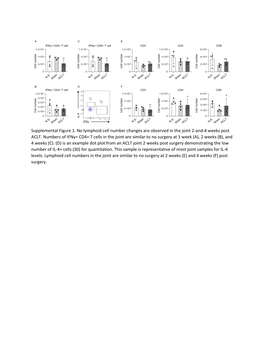 Supplemental Figure 1. No Lymphoid Cell Number Changes Are Observed in the Joint 2-And-4 Weeks Post ACLT