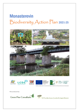 Monasterevin Biodiversity Action Plan 2021