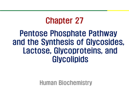 Pentose Phosphate Pathway and the Synthesis of Glycosides, Lactose, Glycoproteins, and Glycolipids