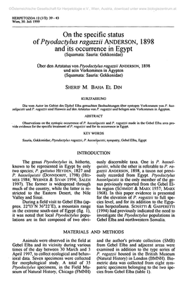 On the Specific Status of Ptyodactylus Ragazzii ANDERSON, 1898 and Its Occurrence in Egypt (Squamata: Sauria: Gekkonidae)