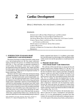 Cardiac Development