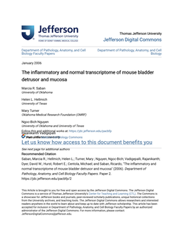 The Inflammatory and Normal Transcriptome of Mouse Bladder Detrusor and Mucosa