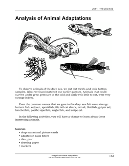 Analysis of Animal Adaptations