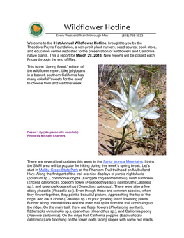 The 31St Annual Wildflower Hotline, Brought to You by the Theodore