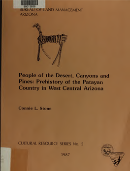 People of the Desert, Canyons, and Pines :Prehistory of the Patayan Country in West Central Arizona