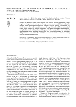 Observations on the White Sea Hydroid, Sarsia Producta (Wright, 1858) (Hydrozoa: Athecata)