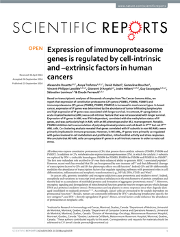 Expression of Immunoproteasome Genes Is Regulated by Cell-Intrinsic