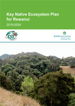 Key Native Ecosystem Plan for Rewanui 2019-2024