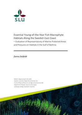 Essential Young-Of-The-Year Fish Macrophyte Habitats Along the Swedish East Coast