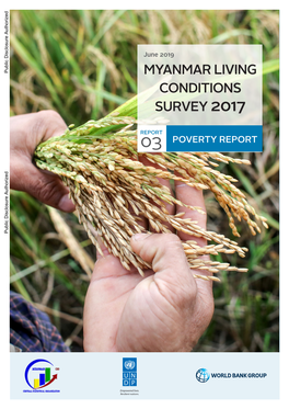 Report Myanmar Living Conditions Survey 2017