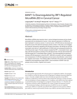 BANF1 Is Downregulated by IRF1-Regulated Microrna-203 in Cervical Cancer