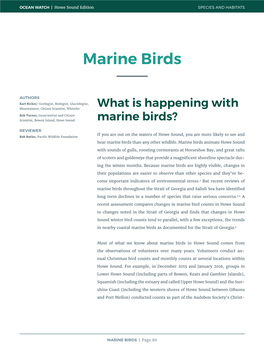 Marine Birds