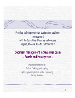 Sediment Management in Sava River Basin – Bosnia and Herzegovina –