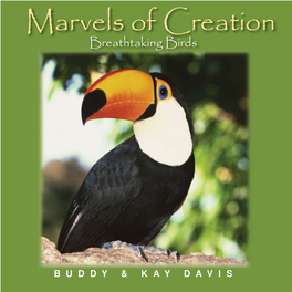 Marvels of Creation: Breathtaking Birds