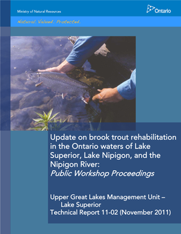 Update on Brook Trout Rehabilitation in the Ontario Waters of Lake Superior, Lake Nipigon, and the Nipigon River: Public Workshop Proceedings