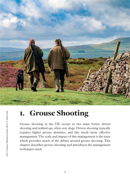Chapter on Grouse Shooting