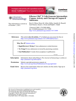 Substrates Caspase Activity and Cleavage of Caspase-8 T Cells