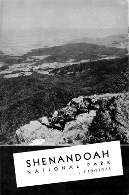 Shenandoah N a T > ° N a Vjrginia 1