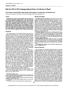 Role for E2F in DNA Damage-Induced Entry of Cells Into S Phase1